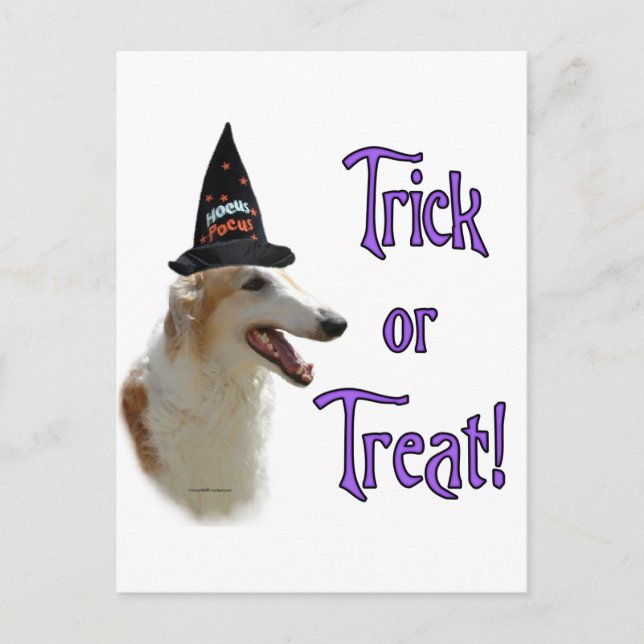 Carte Postale Borzoi Trick (Devant)