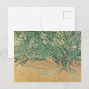 Carte Postale Bosquet d'oliviers de Van Gogh - Art de la nature