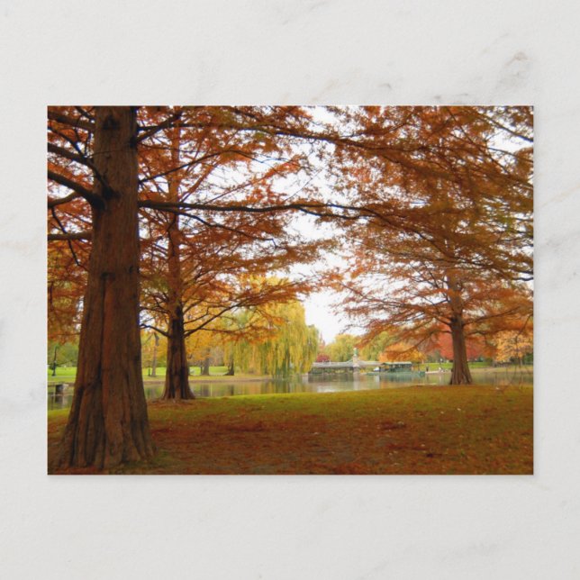 Carte Postale Boston (Devant)