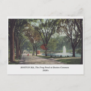 Carte Postale Boston MA Frog Pond à Boston Common 1910 Vintage