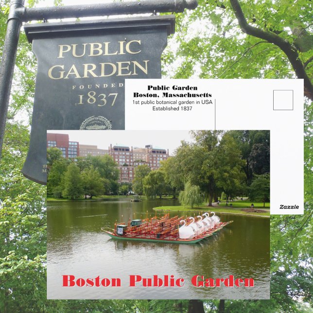 Carte Postale Boston Public Garden Swan Boats Photographie (Créateur téléchargé)
