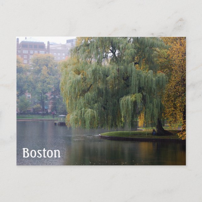 Carte Postale Boston Public Gardens (Devant)