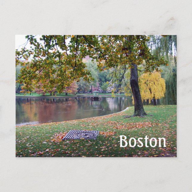 Carte Postale Boston Public Gardens (Devant)