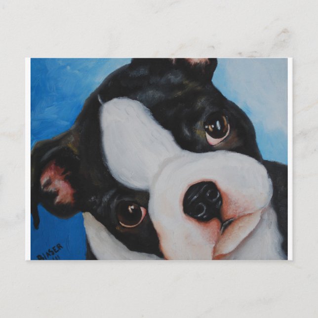 Carte Postale boston pup.jpg (Devant)
