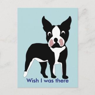 Carte postale Boston Terrier