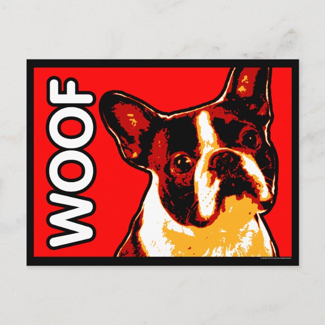 Carte postale Boston Terrier (Devant)