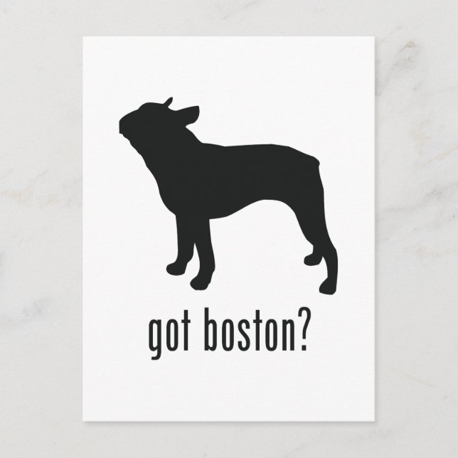 Carte Postale Boston Terrier (Devant)