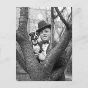 Carte Postale Boston Terrier, années 1920