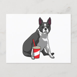 Carte Postale Boston Terrier avec boisson