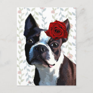 Carte Postale Boston Terrier avec Rose sur Head 2