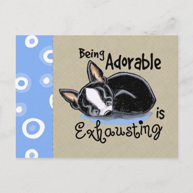 Carte Postale Boston Terrier Être adorable (Devant)