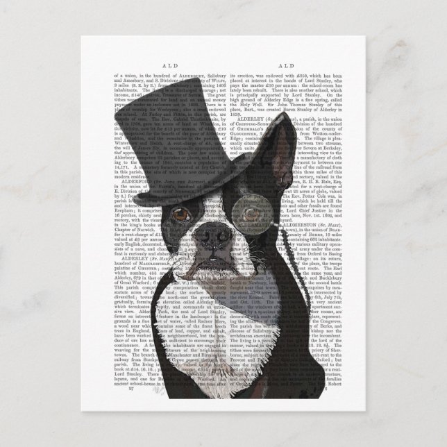 Carte Postale Boston Terrier, Formal Hound et Casquette (Devant)