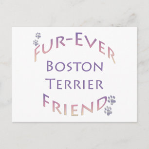 Carte Postale Boston Terrier Furever