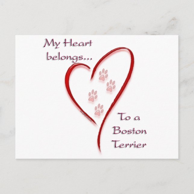 Carte Postale Boston Terrier Heart Belongs (Devant)