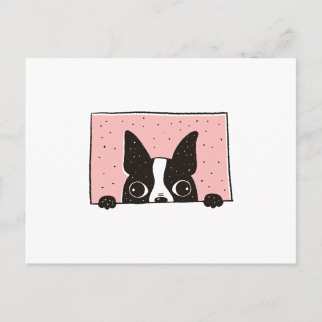 Carte Postale Boston Terrier Peeking (Devant)