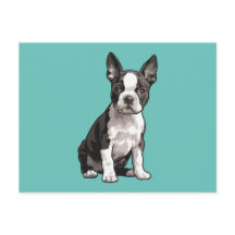 Carte postale Boston Terrier Puppy Chien