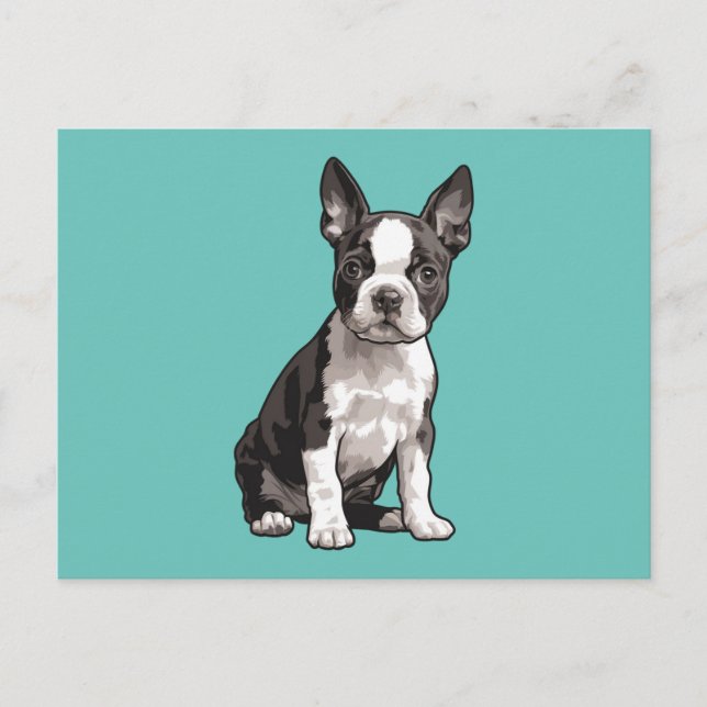 Carte postale Boston Terrier Puppy Chien (Devant)