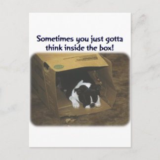 Carte Postale Boston Terrier: Think Inside the Box
