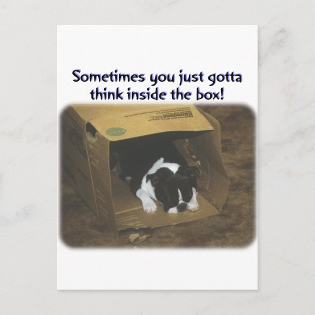 Carte Postale Boston Terrier:  Think Inside the Box (Devant)