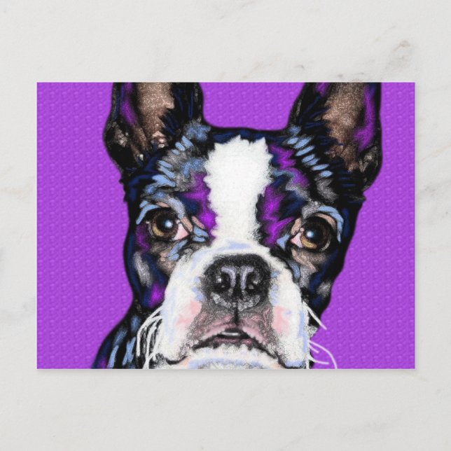 Carte Postale BostonTerrier (Devant)