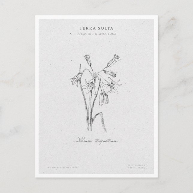 Carte Postale Botanical Illustration 4 'The Awakening of Spring' (Devant)