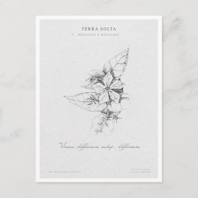 Carte Postale Botanical Illustration 5 'The Awakening of Spring' (Devant)