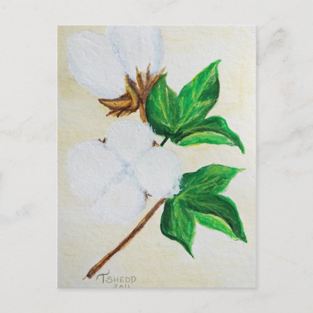 carte postale botanique en coton (Devant)