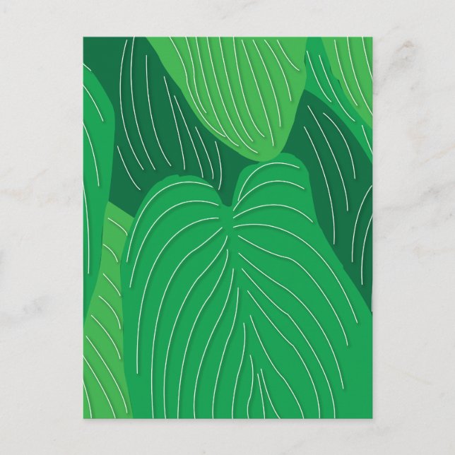Carte Postale Botanique Feuilles Vertes (Devant)