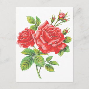 Carte Postale Botanique vintage de Roses rouges