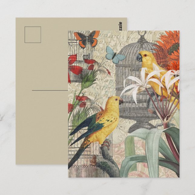 Carte Postale Botanique Vintage Oiseaux Nature Tropical Antique  (Devant / Derrière)