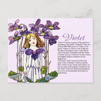 Carte Postale Botany Collector Vintage Violet Girl Info Plante