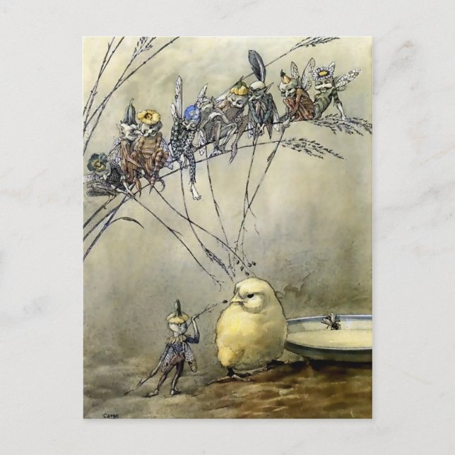 Carte Postale "Bother the Gnat" par A Duncan Carse (Devant)