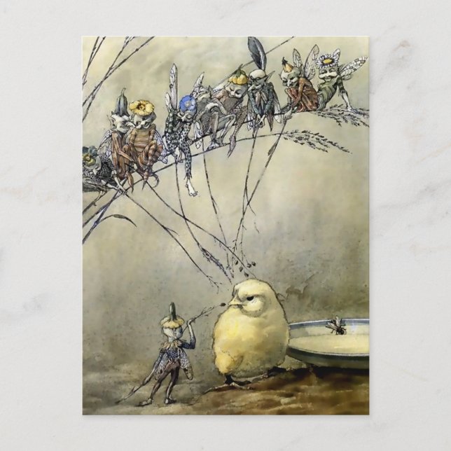 Carte Postale « Bother the Gnat » par A Duncan Carse (Devant)
