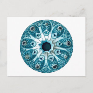 Carte Postale Botryllus Polycyclus Ernst Haeckel Fine Art