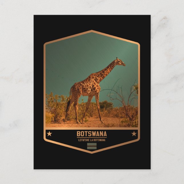 Carte Postale Botswana (Devant)