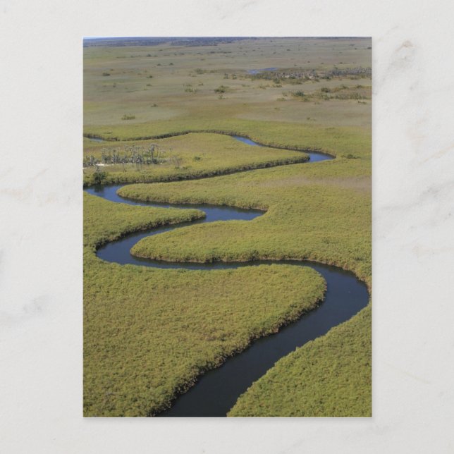 Carte Postale Botswana, Afrique. Vue aérienne de la rivière Okav (Devant)