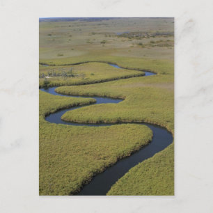 Carte Postale Botswana, Afrique. Vue aérienne fleuve Okavango.