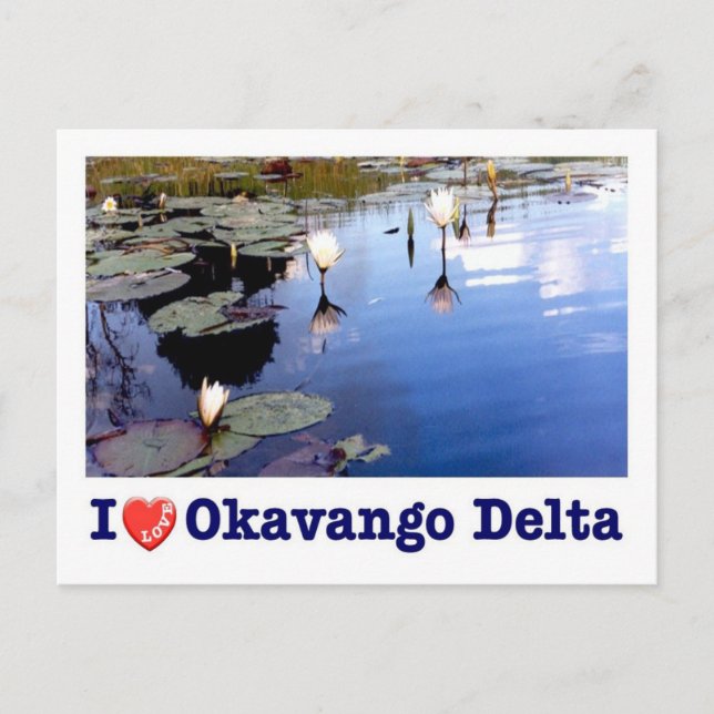 Carte Postale Botswana - Okavango Delta - I Love - (Devant)