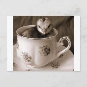 Carte Postale Bottes En Tasse De Thé