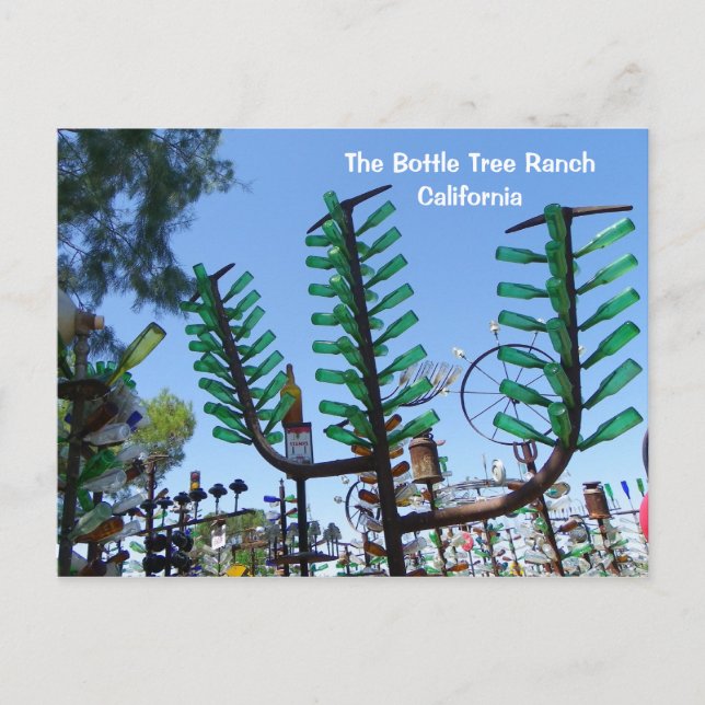 Carte postale Bottle Tree Ranch ! (Devant)