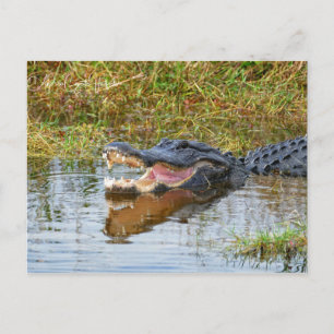 Carte Postale Bouche Ouverte