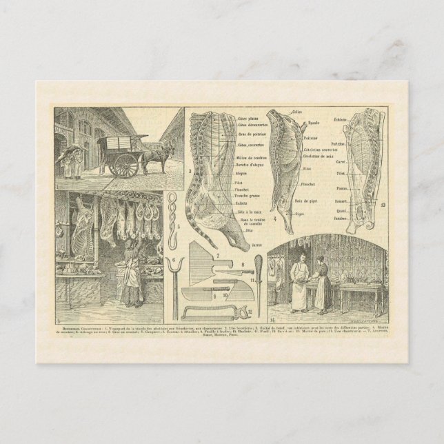 Carte Postale Boucher, France, 1920 (Devant)