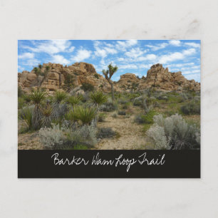 Carte Postale Boucle de Barker Dam Trail dans le Parc national d