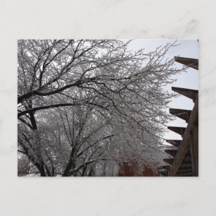 Carte Postale Boucle Icy Delmar