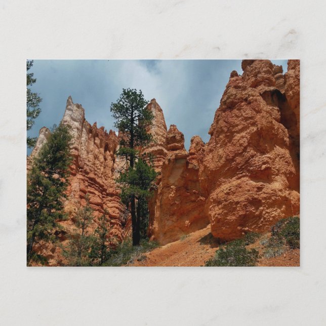 Carte Postale Boucle Peekaboo à Bryce Point Bryce Canyon Nationa (Devant)