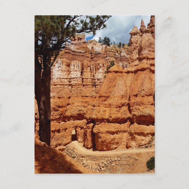 Carte Postale Boucle Peekaboo à Bryce Point Bryce Canyon Nationa (Devant)