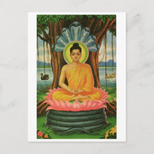 Carte Postale Bouddha