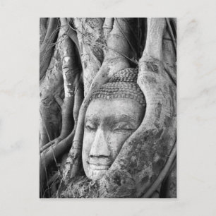 Carte Postale Bouddha dans un arbre