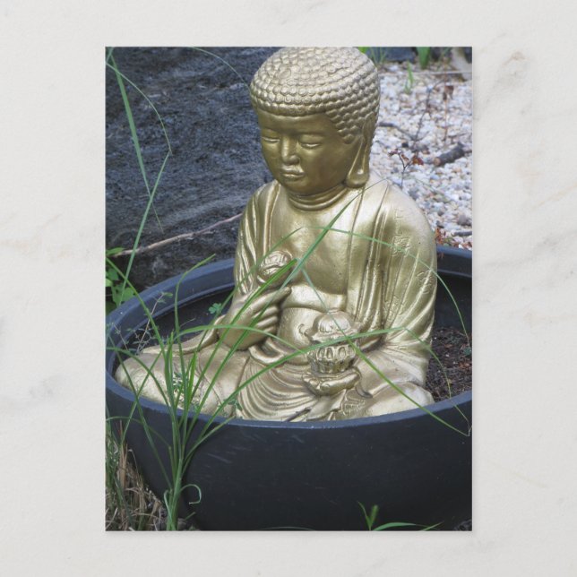 Carte Postale Bouddha du jardin (Devant)