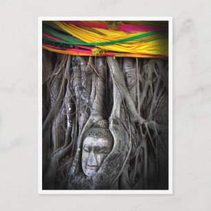 Carte Postale Bouddha Et L'Arbre Bouddhisme Thaïlande Photograph